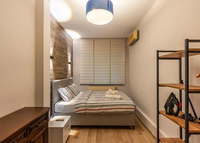 In The Center Of Taksim And Galataport 2 Bedrooms And 1 Living Room In Apartment